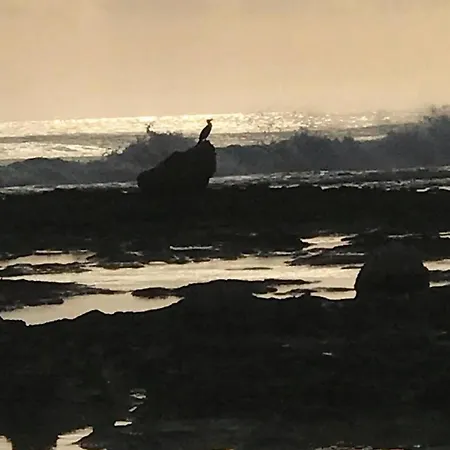 Casa Daflanna In Salento * Punta Prosciutto